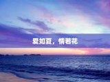 爱如夏，情若花
