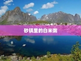 砂锅里的白米粥