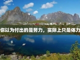 你以为付出的是努力，实际上只是体力