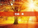巴金：雨