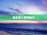 追求是人生的动力