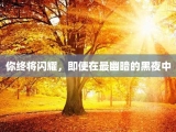 你终将闪耀，即使在最幽暗的黑夜中