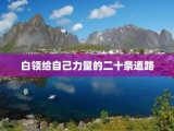 白领给自己力量的二十条道路