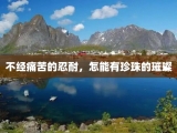 不经痛苦的忍耐，怎能有珍珠的璀璨