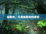 你爱的，只是我爱你的感觉