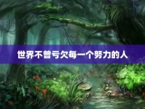 世界不曾亏欠每一个努力的人