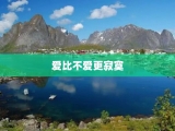 爱比不爱更寂寞