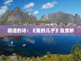 胡适的诗：《我的儿子》及赏析