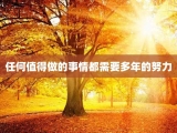 任何值得做的事情都需要多年的努力