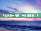 今生我是一只狗，来世我愿做个人