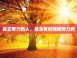 真正努力的人，是没有时间晒努力的
