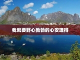 我就要野心勃勃的心安理得
