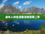 成年人的生活里没有容易二字