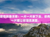 爱情就像洋葱：一片一片剥下去，总有一片能让你泪流满面..