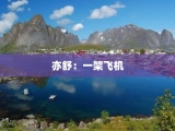 亦舒：一架飞机