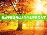 我终于知道有些人为什么不肯努力了