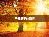 不曾牵手的爱情