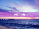 亦舒：选择