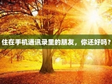 住在手机通讯录里的朋友，你还好吗？
