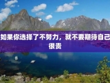 如果你选择了不努力，就不要期待自己很贵