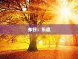 亦舒：乐趣
