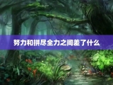 努力和拼尽全力之间差了什么