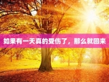 如果有一天真的受伤了，那么就回来