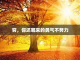 穷，你还哪来的勇气不努力
