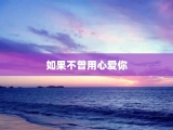 如果不曾用心爱你