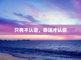 只有不认命，命运才认你