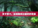 关于努力，这是我听过最好的答案