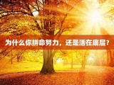 为什么你拼命努力，还是活在底层？