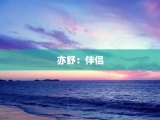 亦舒：伴侣