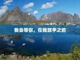 我会等你，在我放手之前