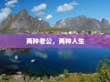 两种老公，两种人生
