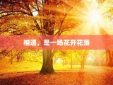 相遇，是一场花开花落