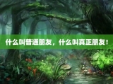 什么叫普通朋友，什么叫真正朋友！