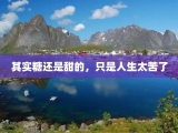 其实糖还是甜的，只是人生太苦了