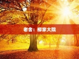 老舍：柳家大院