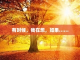 有时候，我在想，如果……