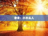 老舍：小木头人