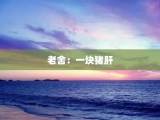 老舍：一块猪肝