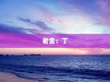 老舍：丁