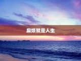 麻烦就是人生