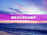 搬砖会让你长出新手