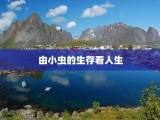 由小虫的生存看人生