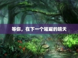 等你，在下一个璀璨的晴天