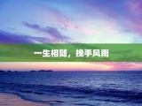 一生相随，挽手风雨