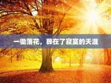 一锄落花，葬在了寂寞的天涯