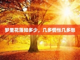梦里花落知多少，几多惆怅几多愁